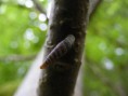 /album/photographie/a59020-448971300928-685715928-4940512-6887388-n-jpg/
