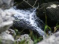 /album/photographie/a59020-448971320928-685715928-4940516-2404220-n-jpg/