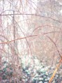 /album/photographie/dscf4639-jpg/
